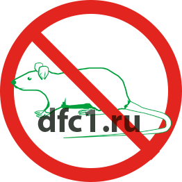 Уничтожение крыс в Тюмени