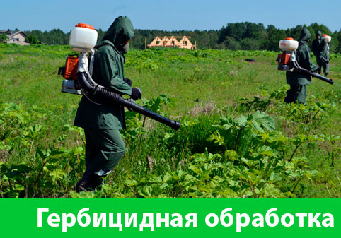 Гербицидная обработка в городе Тюмень